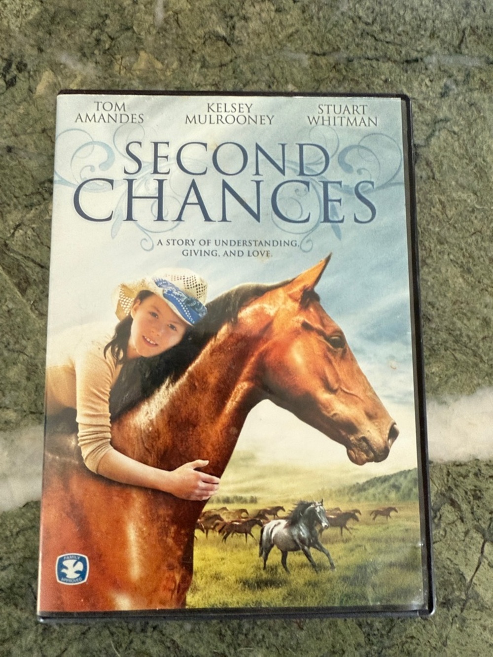 Second Chances DVD by (unknown) - Brown